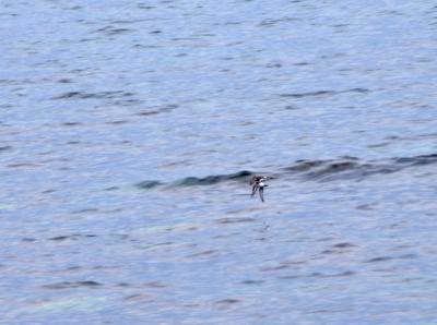 Прикрепленное изображение: zb55.jpg